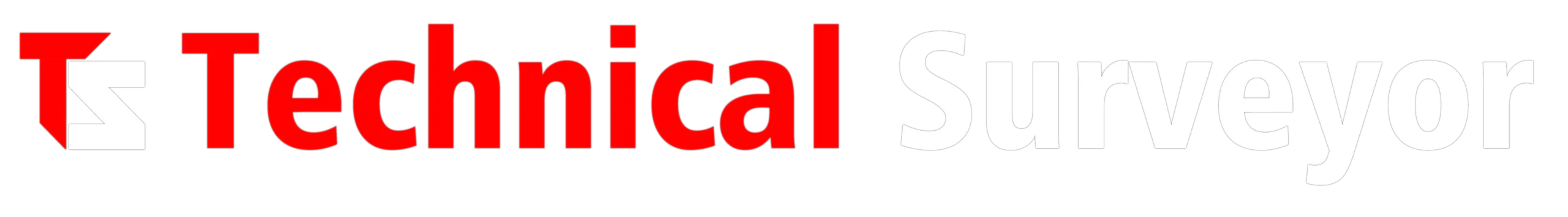 Technical Surveyor logo