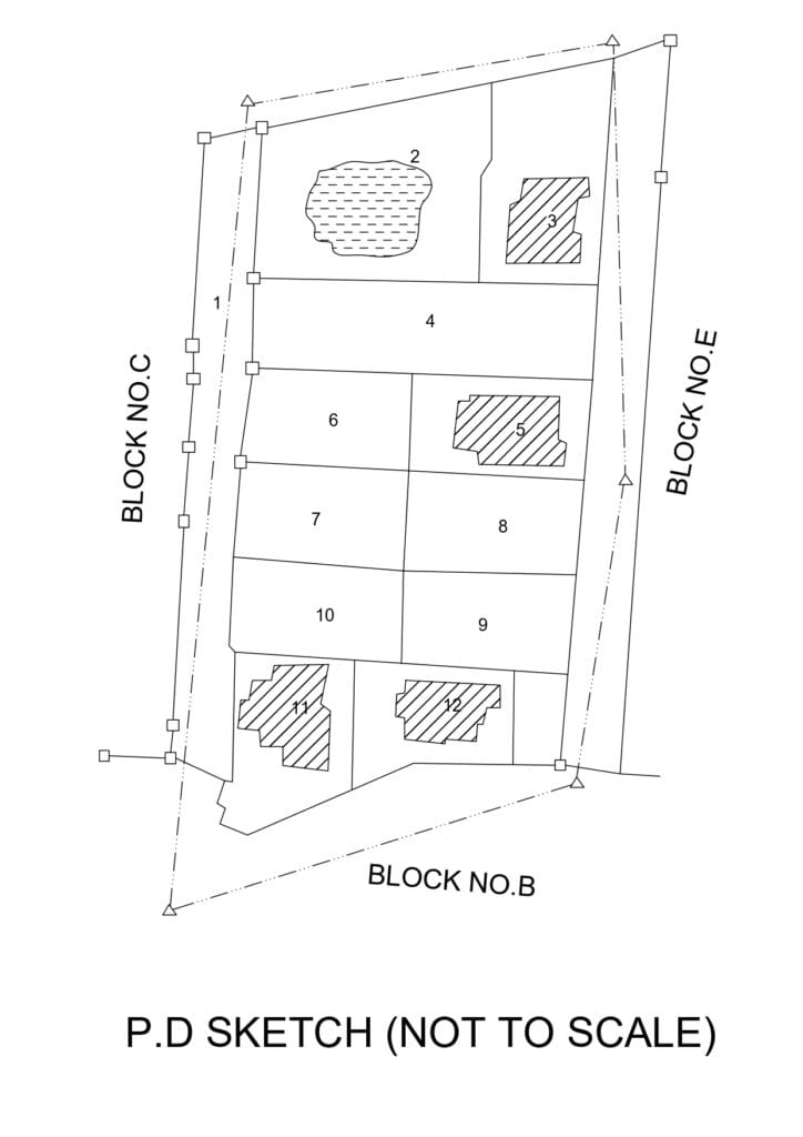 Preliminary demarcation sketch in town survey